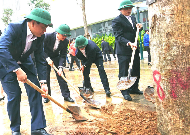 Chủ tịch Nguyễn Đức Chung phát động Tết trồng cây tại quận Hà Đông - Ảnh 3