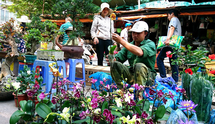 Nhộn nhịp chợ cây Hà Đông những ngày đầu đông - Ảnh 8