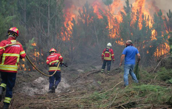Cháy rừng ở Tây Ban Nha và Bồ Đào Nha, ít nhất 44 người thiệt mạng - Ảnh 1