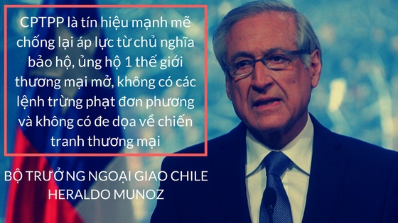 "CPTPP biểu hiện trình độ mới của Việt Nam trong hội nhập với khu vực và quốc tế" - Ảnh 2