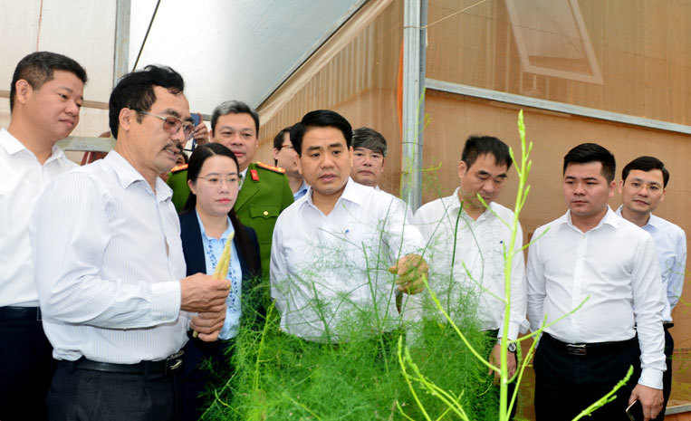 Chủ tịch Nguyễn Đức Chung: Mở rộng sản xuất nông nghiệp công nghệ cao tại Phú Xuyên - Ảnh 2