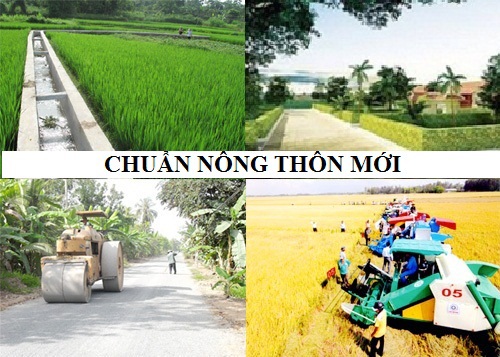 Hà Nội: Lập hội đồng, đoàn thẩm định xã đạt chuẩn nông thôn mới - Ảnh 1