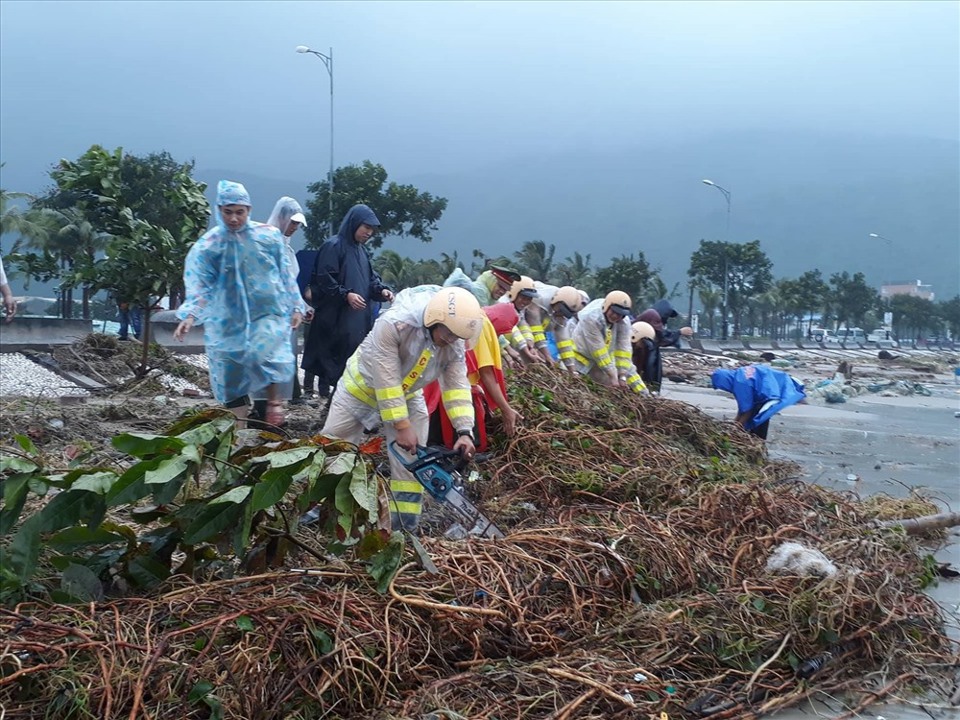 Đà Nẵng huy động toàn dân dọn vệ sinh để đón APEC - Ảnh 2