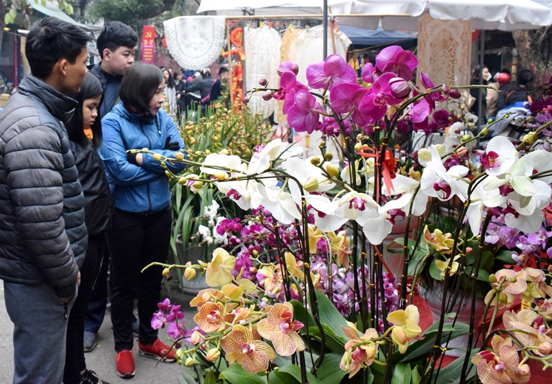 Chợ hoa Hàng Lược tấp nập ngày cuối năm - Ảnh 3