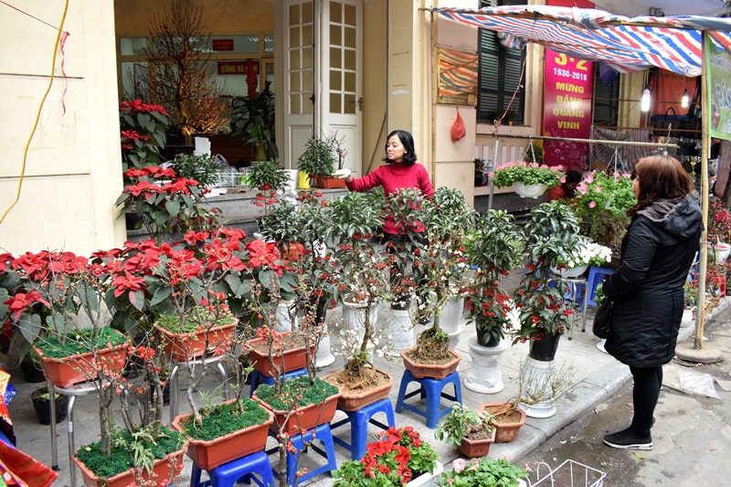 Chợ hoa Hàng Lược tấp nập ngày cuối năm - Ảnh 5