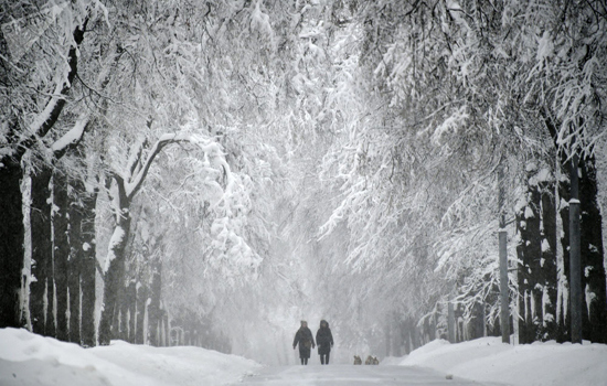 Giao thông Moscow tê liệt vì tuyết rơi kỷ lục - Ảnh 1