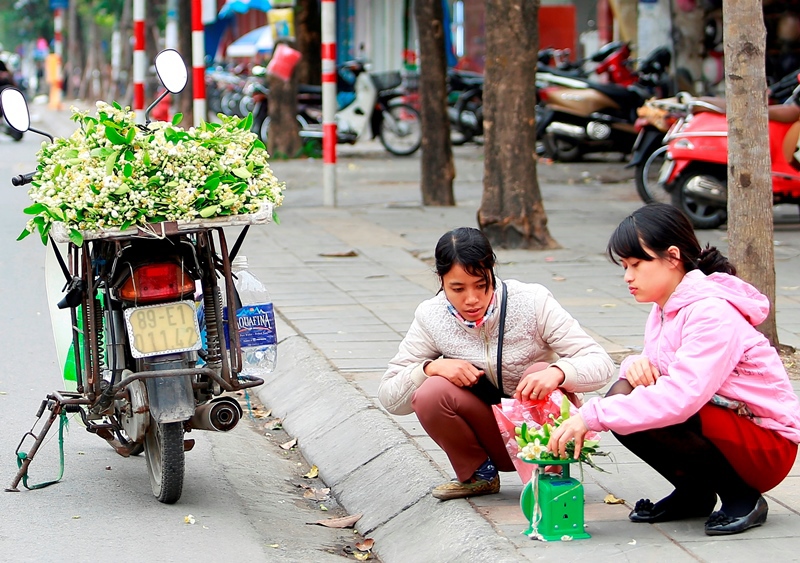 Hoa bưởi ngát hương khắp phố phường Hà Nội - Ảnh 5
