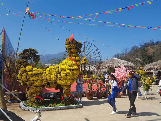 Hàng trăm gốc đào quý bừng nở tại Sun World Fansipan Legend trong lễ hội khèn hoa - Ảnh 4