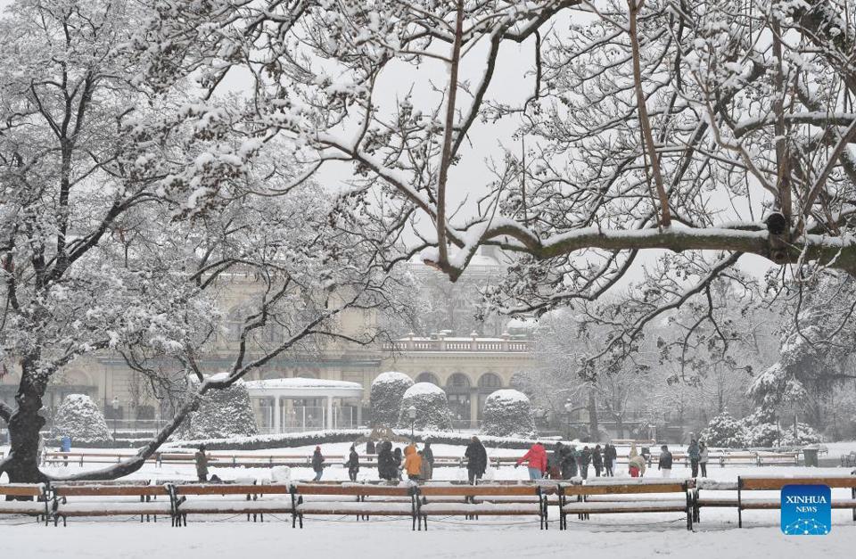 Tuyết rơi dày đặc ở thành phố đáng sống nhất thế giới - Ảnh 3