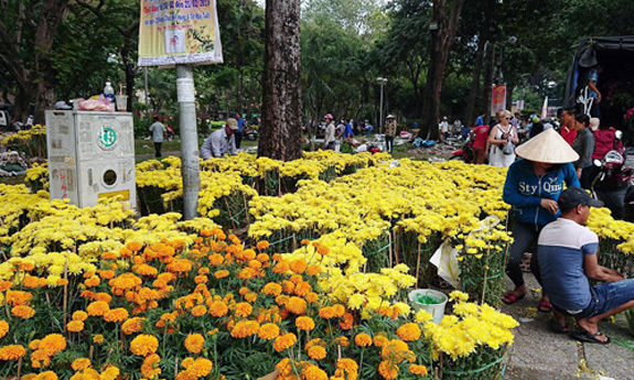 TP Hồ Chí Minh: Chợ hoa ế ẩm ngày 30 Tết - Ảnh 2