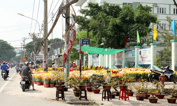 TP Hồ Chí Minh: Chợ hoa ế ẩm ngày 30 Tết - Ảnh 3