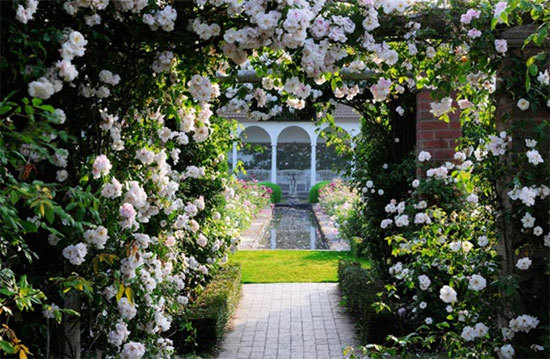 Lạc vào những vườn hồng đẹp nhất thế giới - Ảnh 2