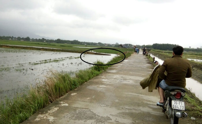 Quảng Ngãi: Hụt chân rơi xuống kênh, một phụ nữ tử vong - Ảnh 1