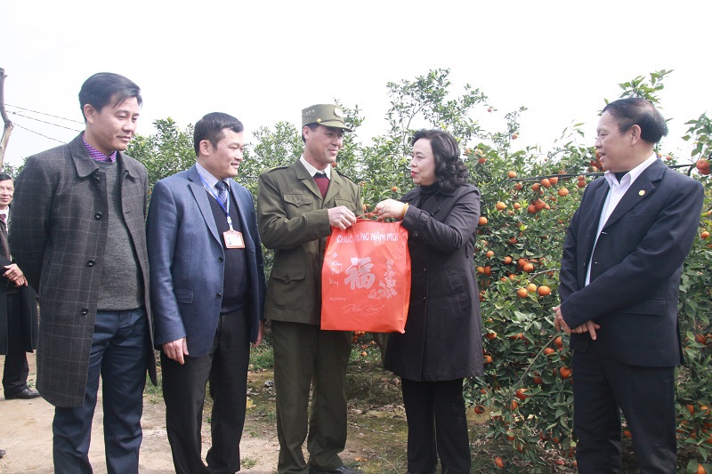 Phó Bí thư Thường trực Thành ủy Ngô Thị Thanh Hằng: Thúc đẩy nông nghiệp theo hướng chuyên canh - Ảnh 2