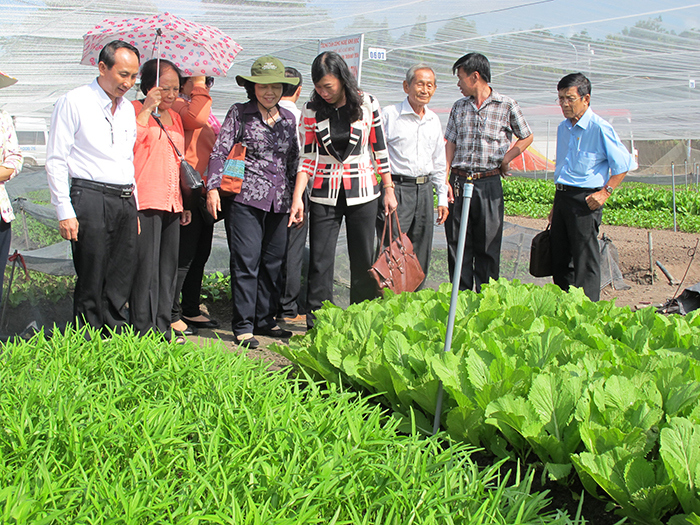 TP Hồ Chí Minh sẽ chi hơn 38 tỷ đồng đào tạo nghề cho lao động nông thôn - Ảnh 1