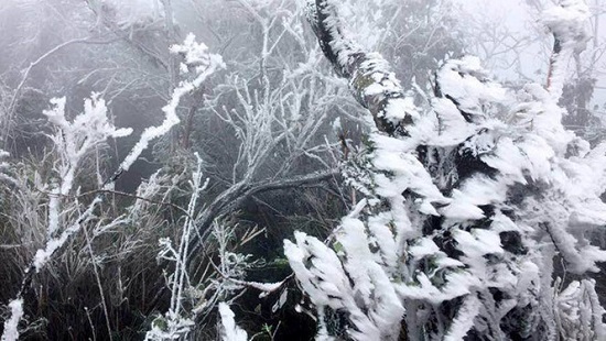 Mưa tuyết xuất hiện tại nhiều nơi, phủ trắng núi rừng phía Bắc - Ảnh 4