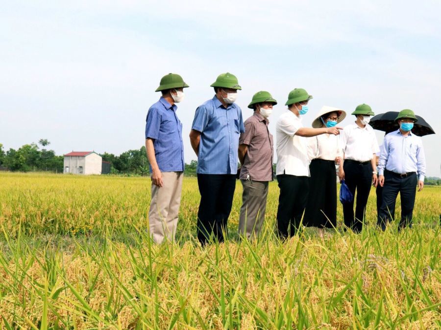 Cấp, quản lý mã số vùng trồng: Mở rộng cánh cửa xuất khẩu cho nông sản Việt Nam - Ảnh 2