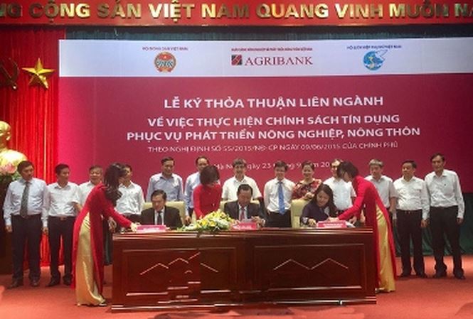 Agribank luôn đồng hành cùng giai cấp Nông dân Việt Nam - Ảnh 1