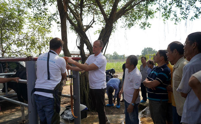 Nông dân Việt Nam và nông dân Hà Lan giao lưu, tập huấn kỹ thuật chăn nuôi bò sữa - Ảnh 2