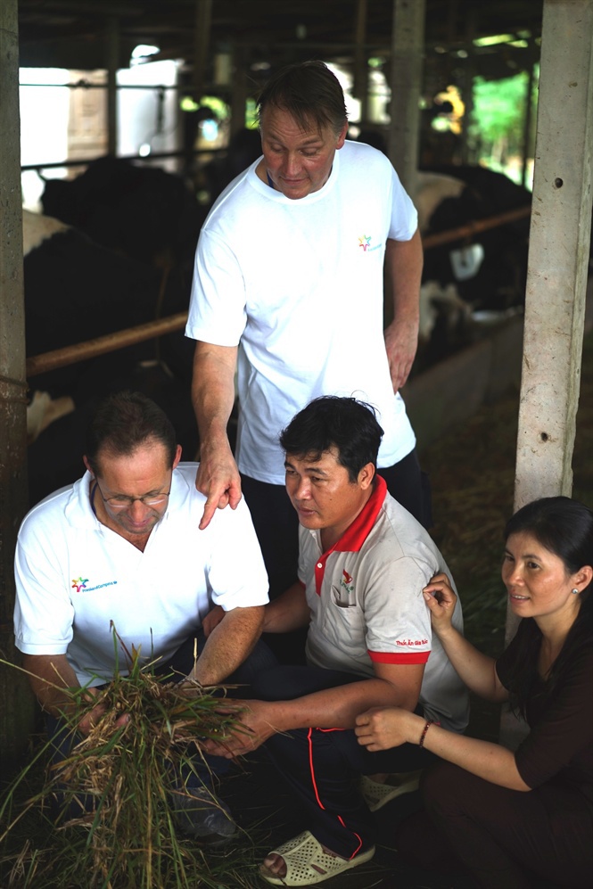Nông dân Việt Nam tập huấn kỹ thuật nuôi bò với nông dân Hà Lan - Ảnh 1