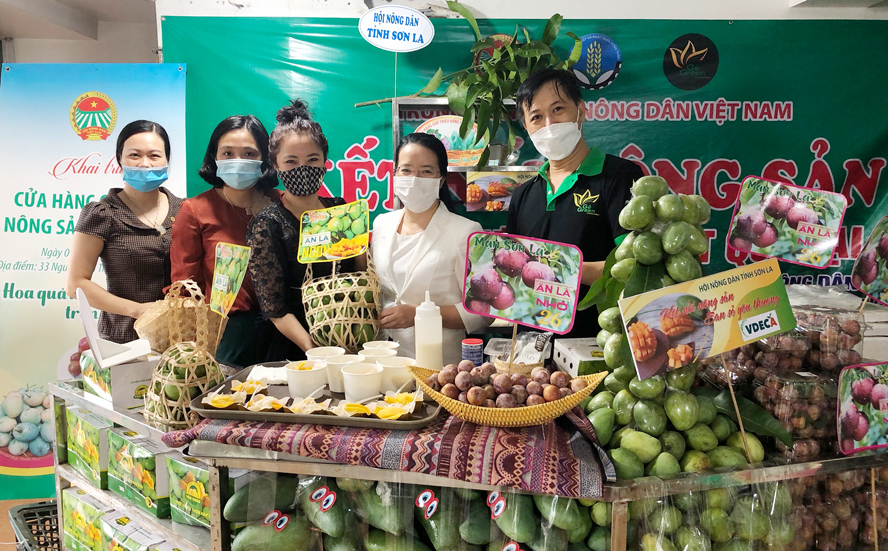 Hà Nội: Kết nối tiêu thụ nông sản giúp nông dân vượt qua đại dịch - Ảnh 2