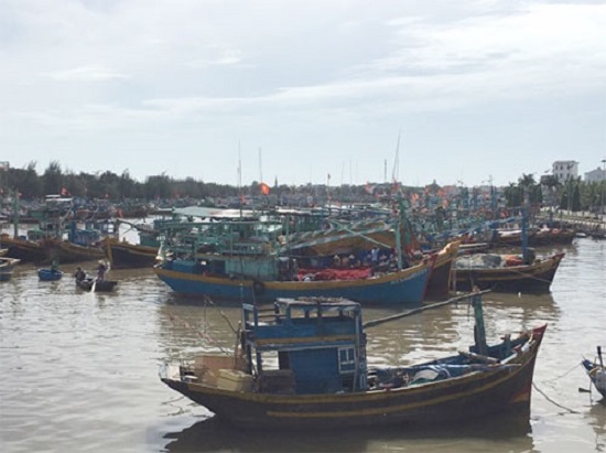 Bão Damrey giật cấp 14, tiến thẳng vào bờ biển Khánh Hòa-Ninh Thuận - Ảnh 2