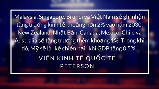 "CPTPP biểu hiện trình độ mới của Việt Nam trong hội nhập với khu vực và quốc tế" - Ảnh 6