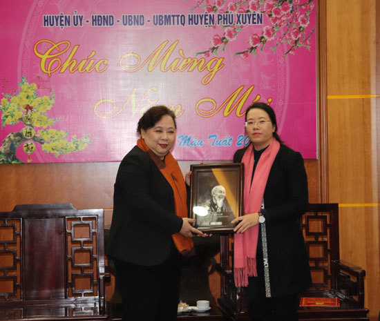 Chủ tịch HĐND TP Nguyễn Thị Bích Ngọc tặng quà cho các hộ nghèo huyện Phú Xuyên - Ảnh 4