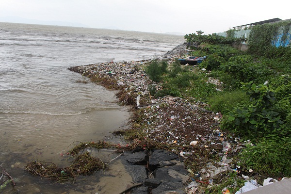 Đà Nẵng ra quân tổng vệ sinh bãi biển sau đợt mưa lớn - Ảnh 1