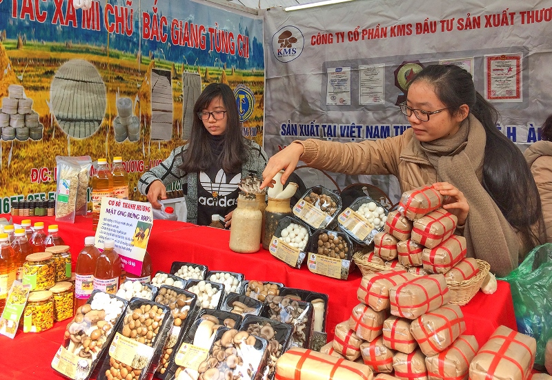 Nô nức mua sắm tại Hội chợ Tết Việt - Ảnh 10