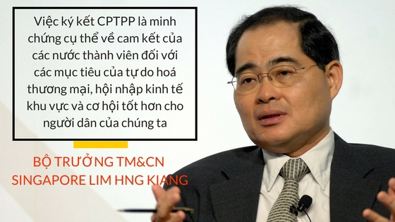 "CPTPP biểu hiện trình độ mới của Việt Nam trong hội nhập với khu vực và quốc tế" - Ảnh 4