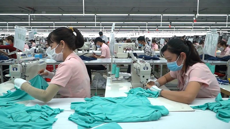 Chính phủ Hà Lan, ILO hỗ trợ Việt Nam giải quyết tốt hơn nhu cầu kỹ năng dệt may - Ảnh 1