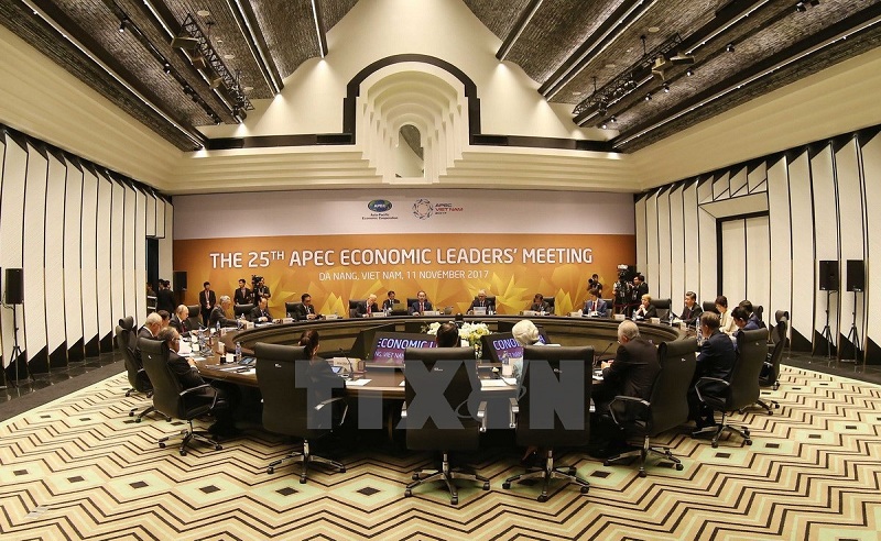 Khai mạc Hội nghị các nhà lãnh đạo kinh tế APEC lần thứ 25 ở Đà Nẵng - Ảnh 1