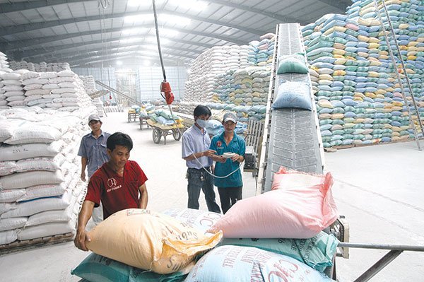 Hỗ trợ gạo cho tỉnh Nghệ An khắc phục hậu quả mưa lũ - Ảnh 1