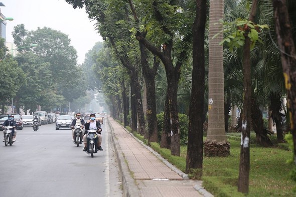 Tối ưu năng lực lưu thông cho tuyến đường Hoàng Quốc Việt - Ảnh 2