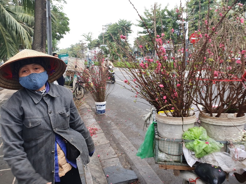 Với loại đ&agrave;o c&agrave;nh nhỏ, c&aacute;ch đ&acirc;y cả tuần đ&atilde; được người d&acirc;n ch&agrave;o b&aacute;n&nbsp;