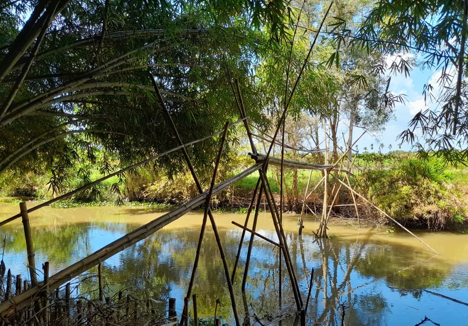 Cầu khỉ cho du kh&aacute;ch trải nghiệm. Ảnh: Giang Lam