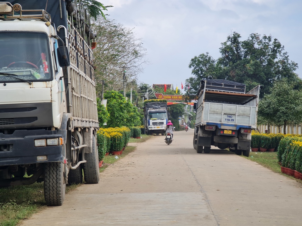 Xe tải xếp h&agrave;ng chờ mang hoa đi ti&ecirc;u thụ.