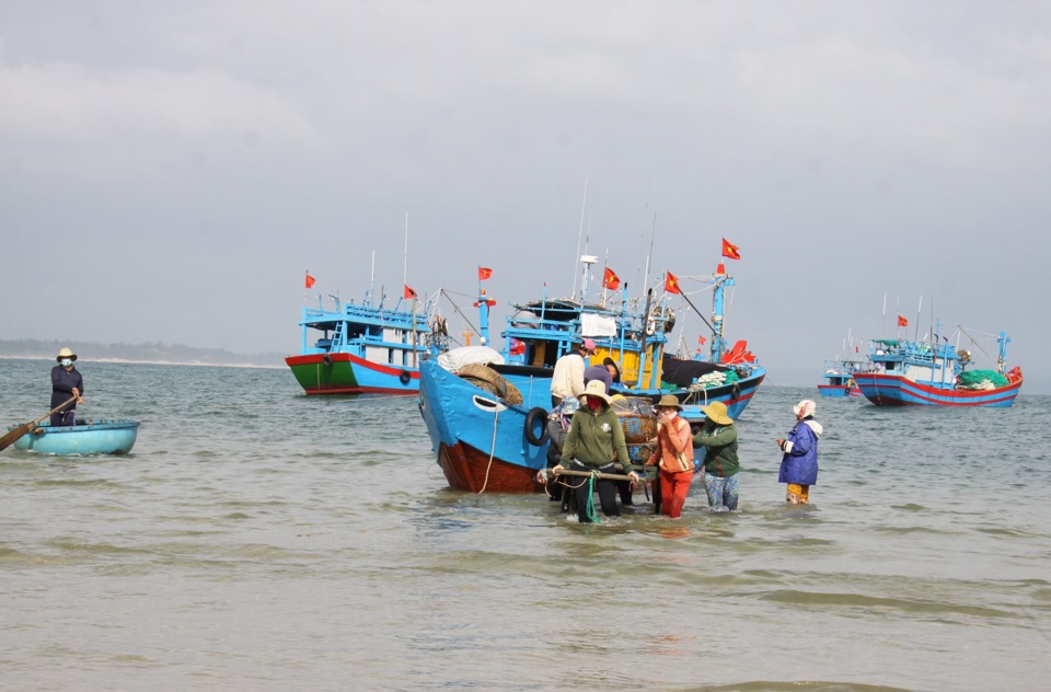 Ngư d&acirc;n v&ugrave;ng ven biển n&ocirc; nức khai th&aacute;c lộc biển cuối năm.