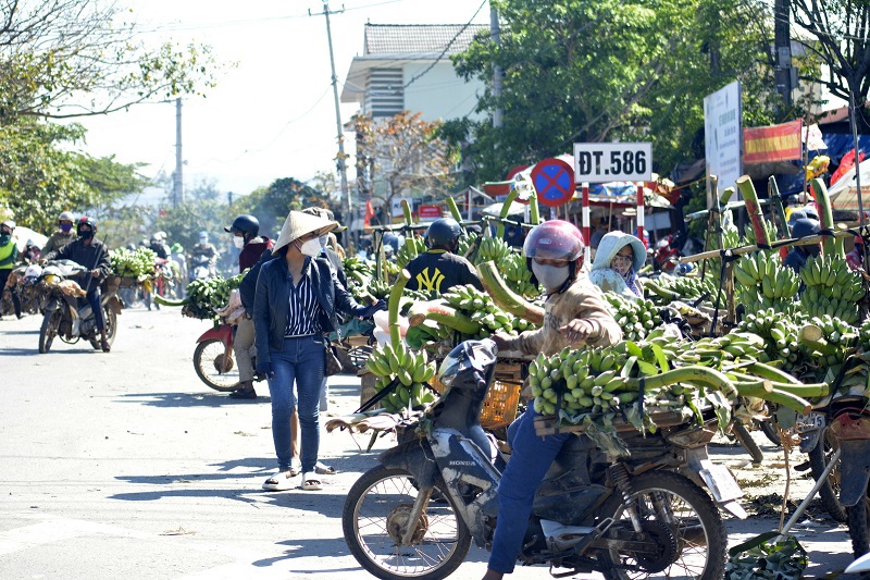 Trung b&igrave;nh, v&agrave;o mỗi dịp Tết Nguy&ecirc;n đ&aacute;n, chợ chuối T&acirc;n Long cung cấp h&agrave;ng trăm tấn chuối đến c&aacute;c tỉnh, th&agrave;nh miền Trung.