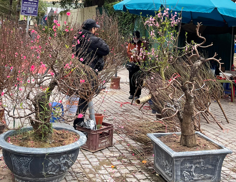 Hà Nội: Chợ hoa chiều cuối năm “vừa bán, vừa cho” - Ảnh 2