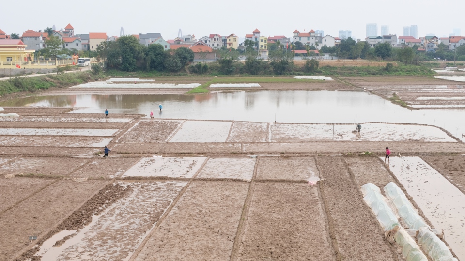 B&agrave; con n&ocirc;ng d&acirc;n huyện Đ&ocirc;ng Anh t&iacute;ch cực xuống đồng l&agrave;m đất, lấy nước, gieo cấy vụ Xu&acirc;n 2022.