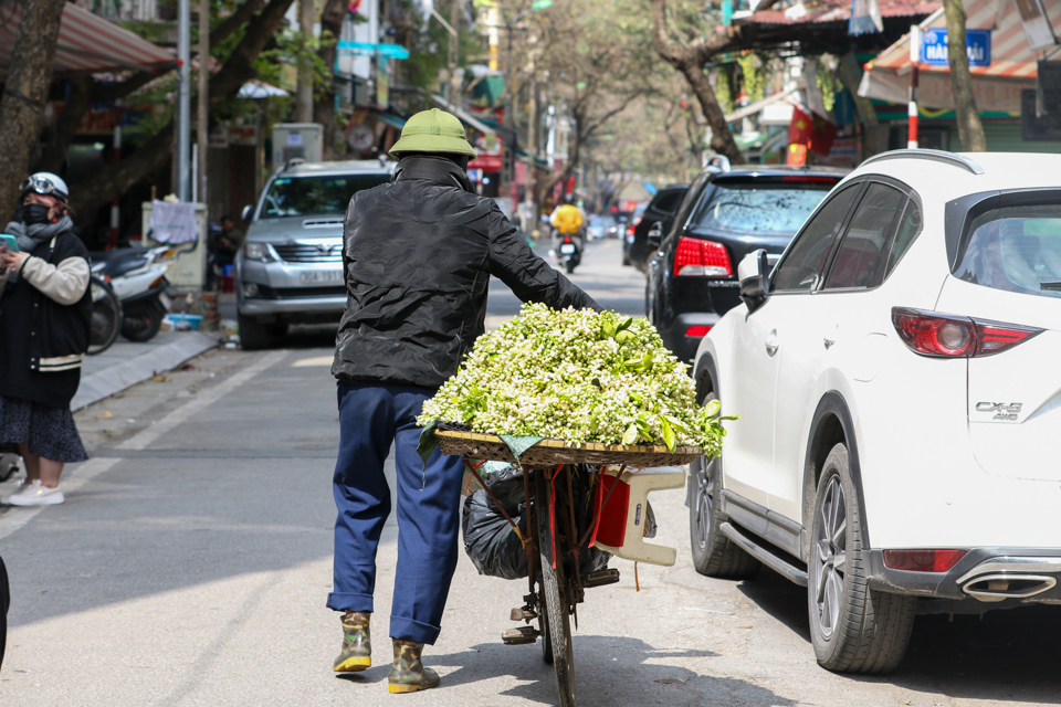 Chẳng biết từ bao giờ, hương hoa bưởi đ&atilde; đi v&agrave;o nỗi nhớ của người H&agrave; Nội. Những chiếc xe chở những g&aacute;nh hoa bưởi vẫn len lỏi qua từng g&oacute;c phố, con đường...