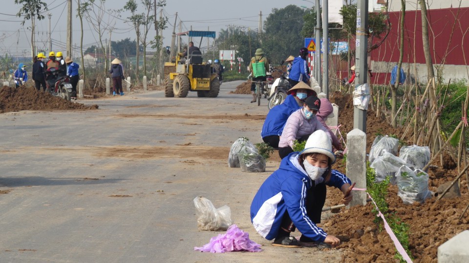 Những h&agrave;ng c&acirc;y hoa hai b&ecirc;n đường giao th&ocirc;ng x&atilde; Đại Thắng đang được trồng mới để tạo cảnh quan m&ocirc;i trường