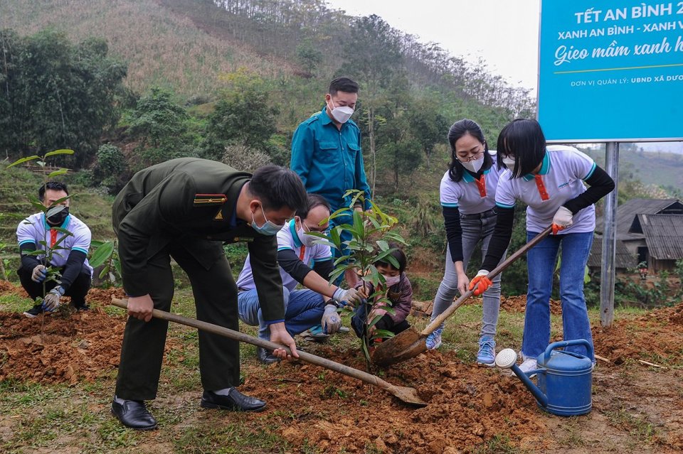 Văn B&agrave;n l&agrave; một trong những huyện đứng đầu về c&ocirc;ng t&aacute;c trồng rừng của L&agrave;o Cai