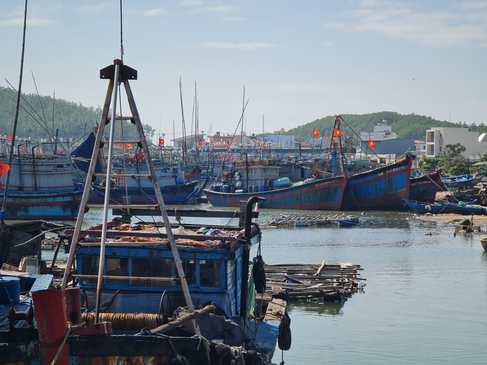T&agrave;u c&aacute; ở khu vực cảng Sa Huỳnh.