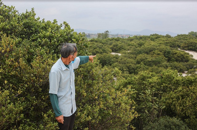 &Ocirc;ng Dương Minh Huy, người gắn b&oacute; hơn 38 năm bảo vệ rừng tr&acirc;m bầu.