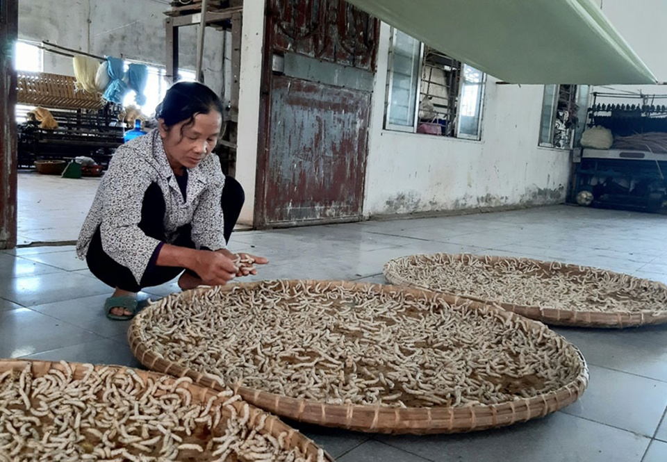 C&ocirc;ng đoạn chăn tằm