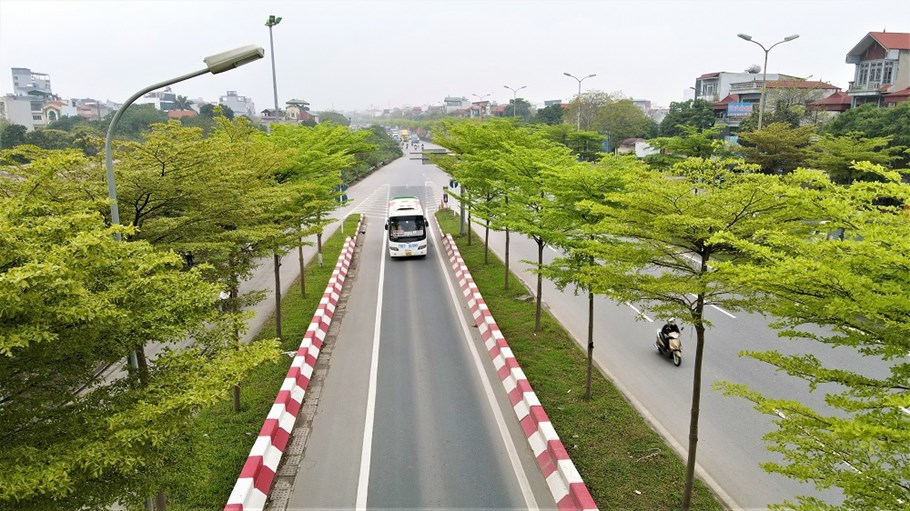 Lối l&ecirc;n cầu Thanh Tr&igrave;, hai h&agrave;ng B&agrave;ng phủ xanh bắt mắt.