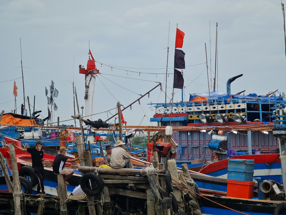 Tàu thuyền của ngư dân neo ở xã Tịnh Kỳ (TP Quảng Ngãi).